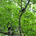 P1000404.JPG